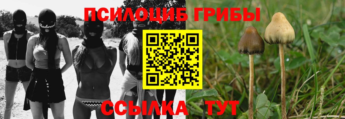 Псилоцибиновые грибы мицелий  Вход с VPN  Галлюциногенные грибы мухоморы  где найти наркотики  Хабаровск 